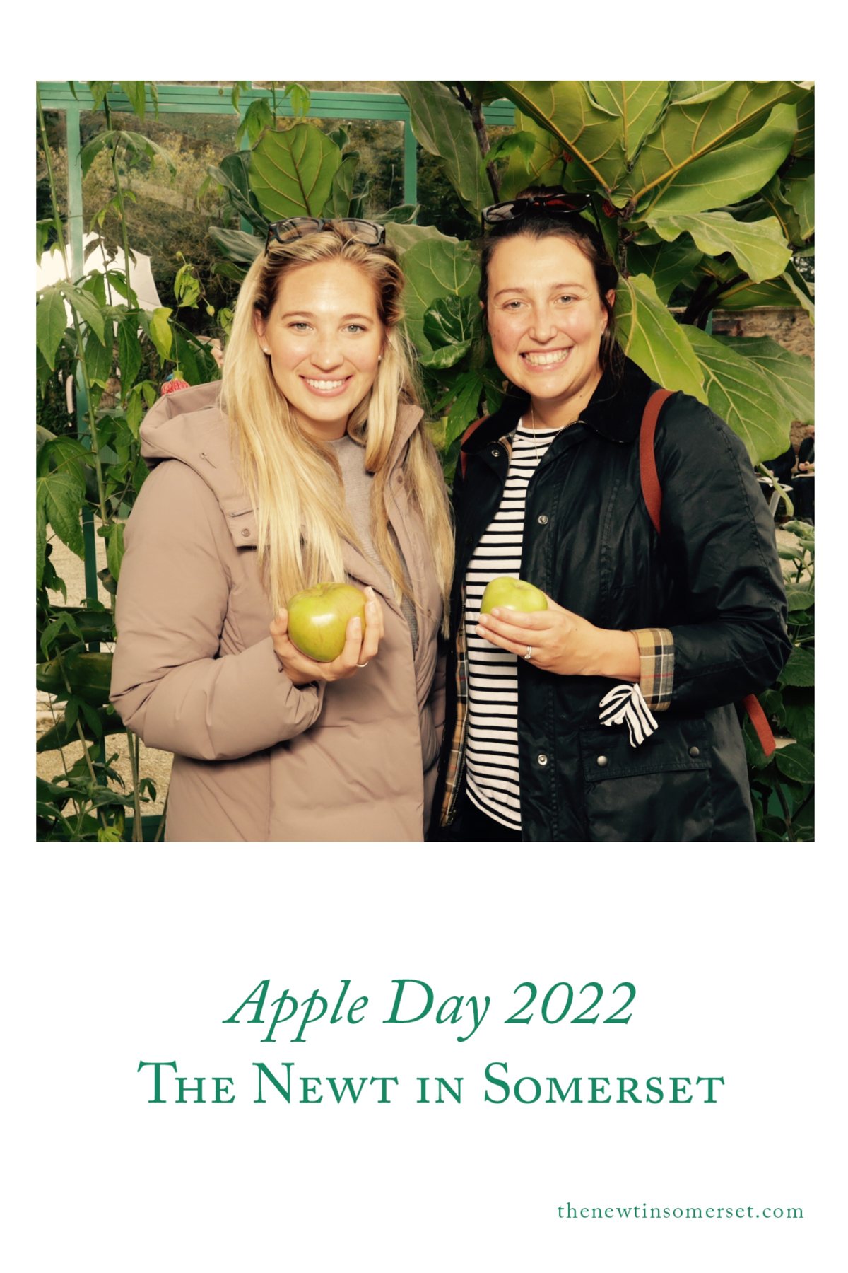 Apple Day at The Newt in Somerset